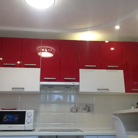 On Ivasyuka 11 아파트 트루스카베츠