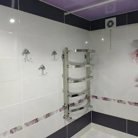 On Ivasyuka 11 아파트 트루스카베츠